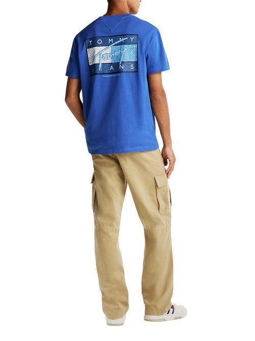 T-shirt uomo blu in cotone Tommy Jeans | DM0DM21108C6E